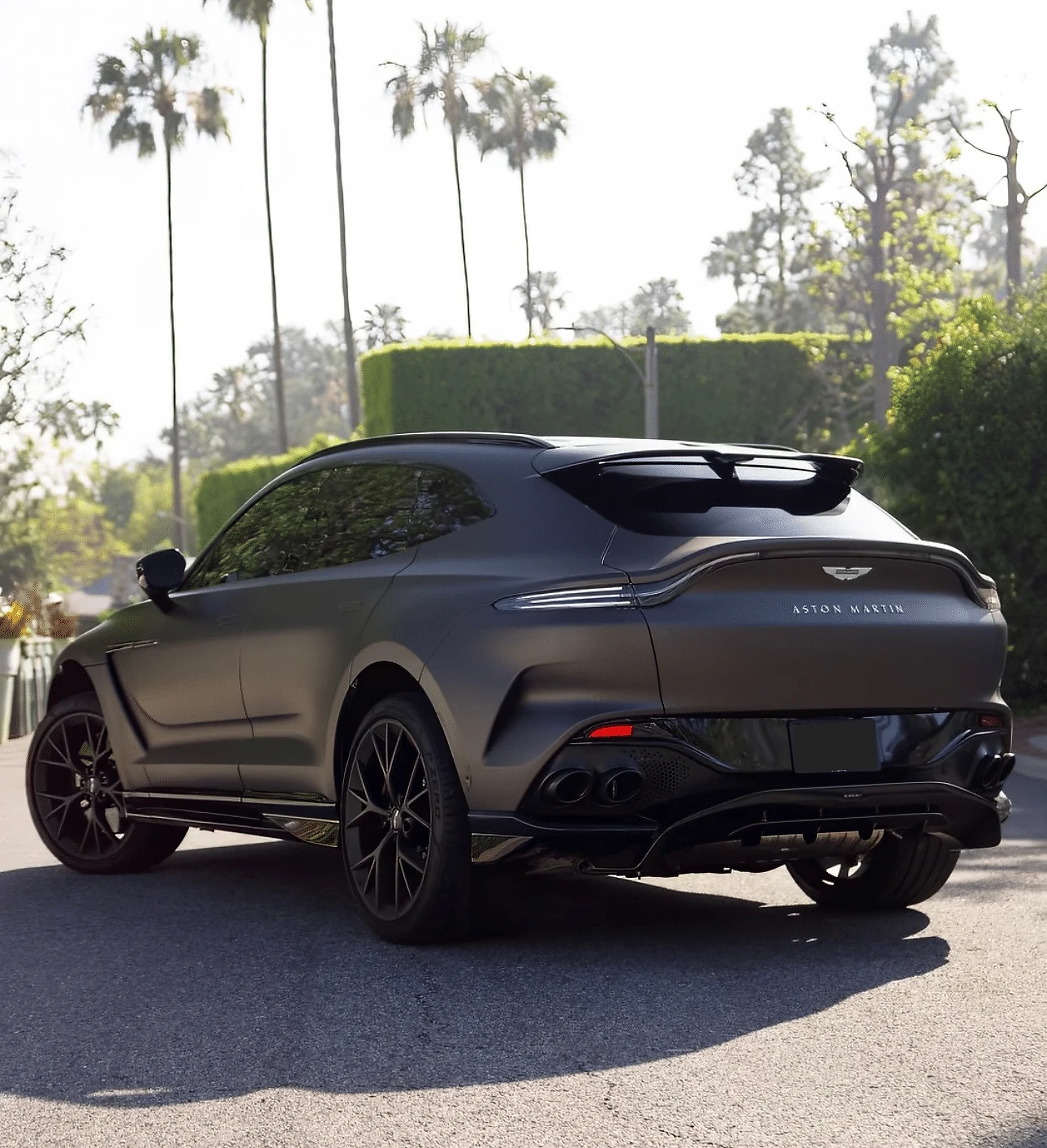 Aston Martin DBX 707 detail relevant to performance suv rentals on MIA / LUX
